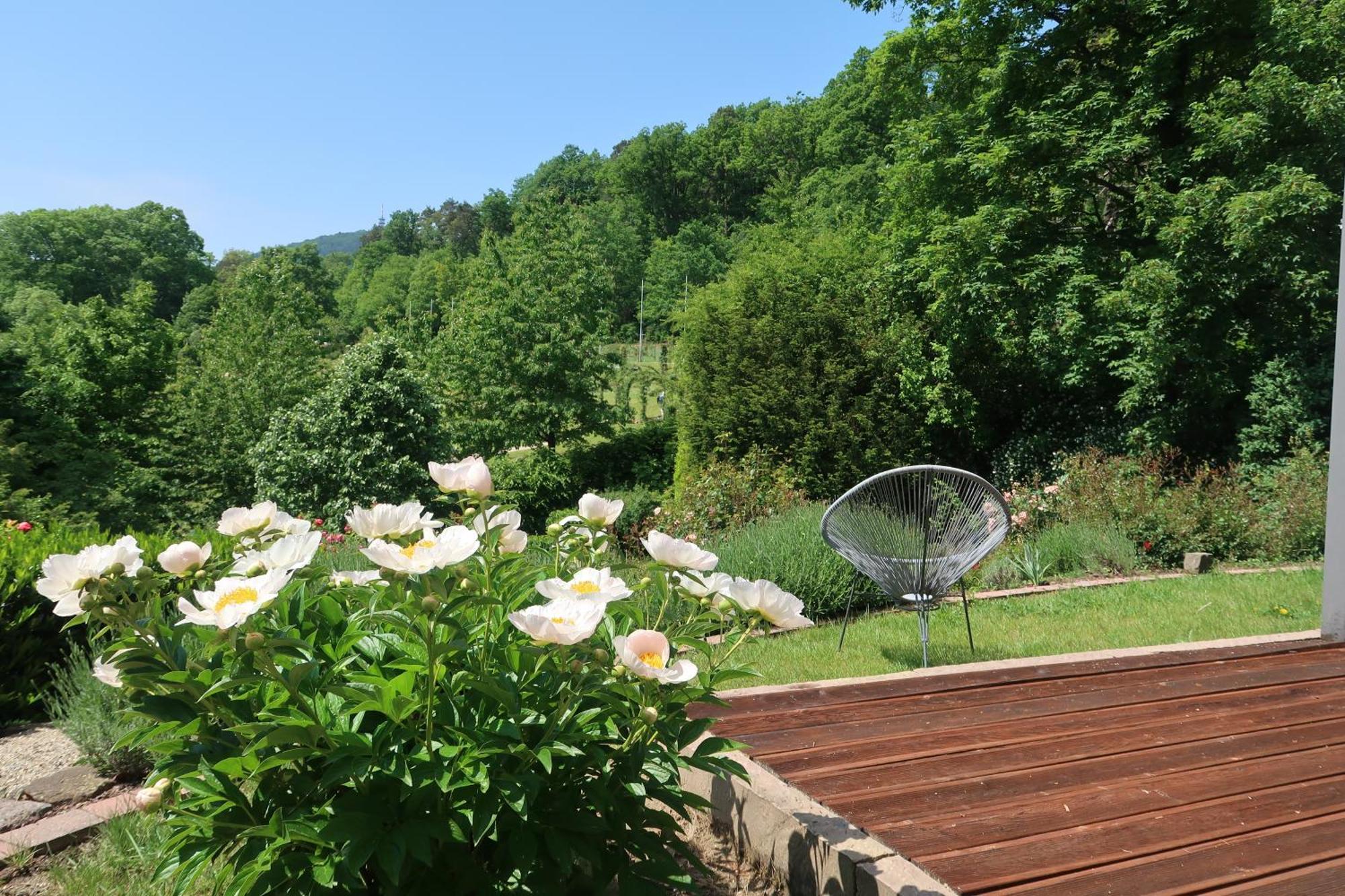 Apartment Im Rosentraum Mit Privater Terasse Baden-Baden Buitenkant foto